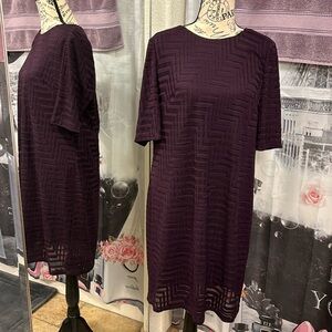 NWT London Style Collection Knit Dress